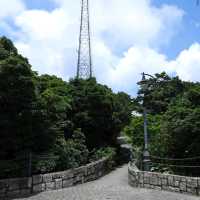 Victoria Peak (Hike Instead of Tram)