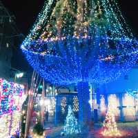 「東逗子ふれあい広場のクリスマスイルミネーション 2026年版 — 地元の温もりと幻想的な光の祭典」