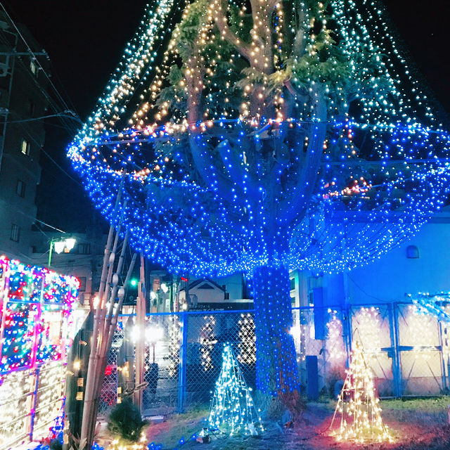 「東逗子ふれあい広場のクリスマスイルミネーション 2026年版 — 地元の温もりと幻想的な光の祭典」