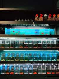 Explore the Wonders of Nature at Just Pets Megastore Damansara