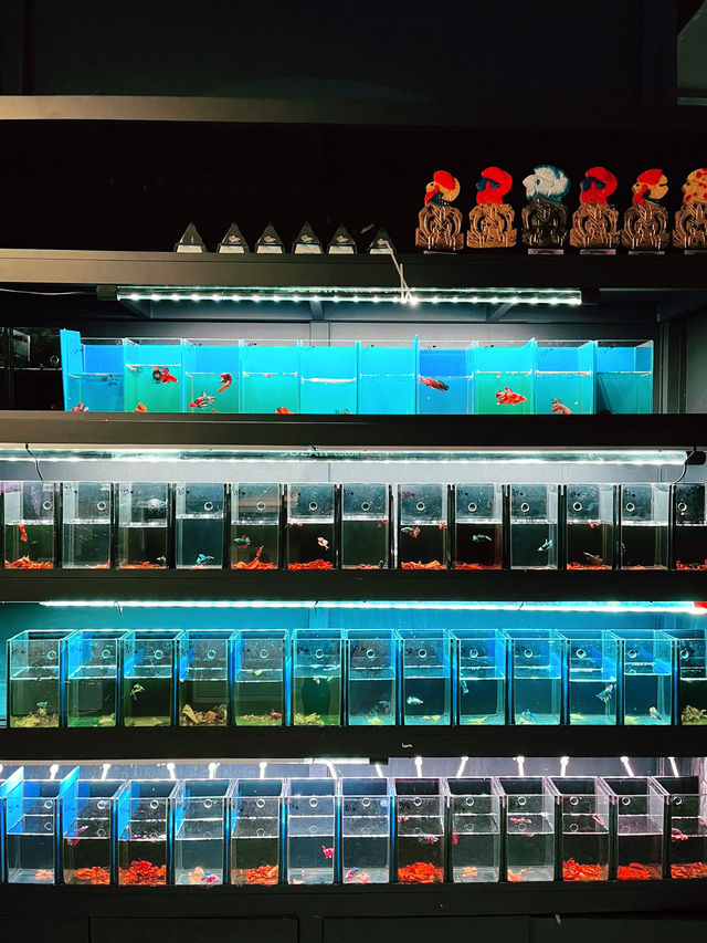 Explore the Wonders of Nature at Just Pets Megastore Damansara Explore the Wonders of Nature at Just Pets Megastore Damansara