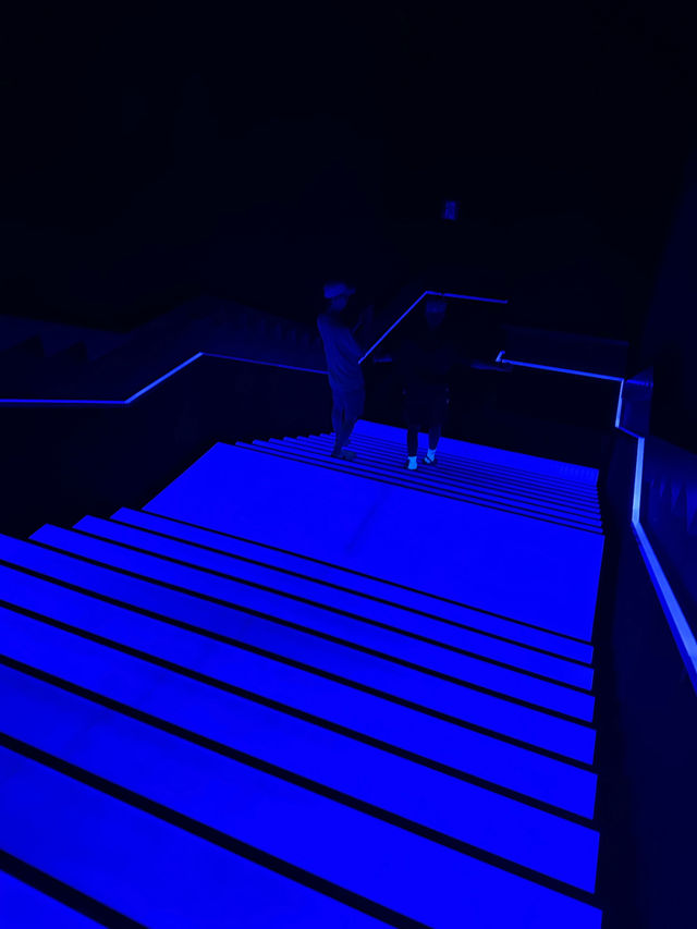 도쿄 아자부다이 힐즈 ✨ teamLab Borderless + Limelight 🍽️