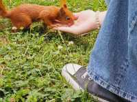 【緑と芸術が調和する癒しの空間】ワジェンキ公園🌳🎶