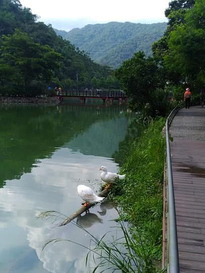 漫步雲端與湖畔:見晴古道、望龍埤周邊景點全介紹 漫步雲端與湖畔:見晴古道、望龍埤周邊景點全介紹