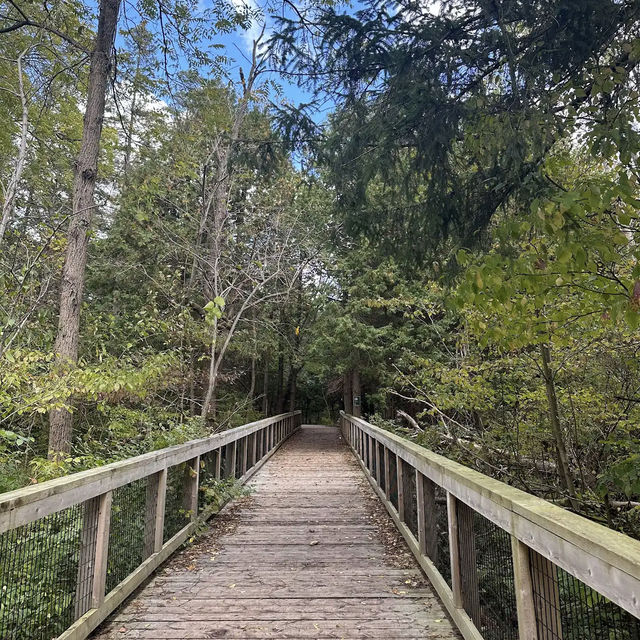 Rouge Urban National Park 🏙️🌲