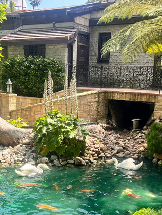 SRF Lake Shrine – A Spiritual Oasis in Los Angeles