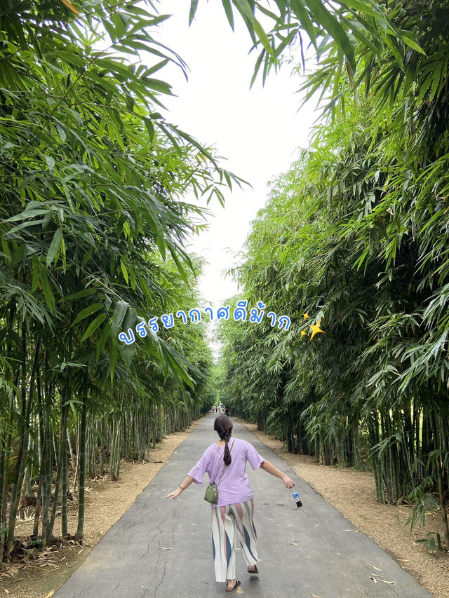 Keeree Mantra ร้านอาหารบรรยากาศดี ถ่ายรูปเพลิน✨