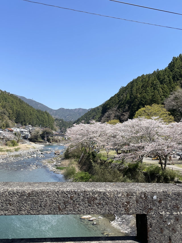四国ドライブ旅🚗✨寄り道ですら絶景すぎた