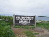 【花の浮島・礼文島】🌼絶景ハイキングとグルメ旅ガイド