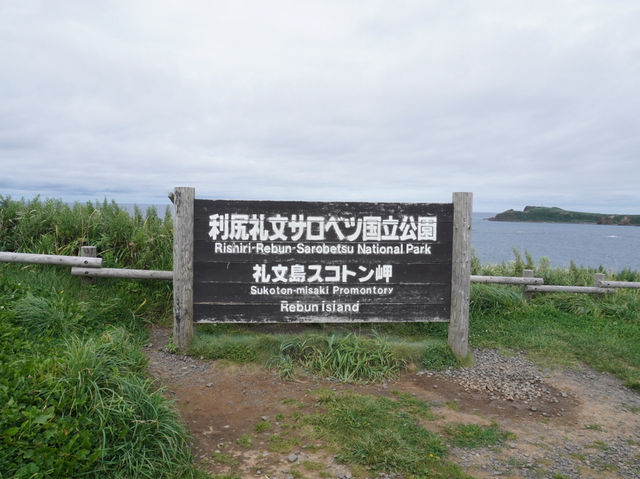 【花の浮島・礼文島】🌼絶景ハイキングとグルメ旅ガイド 【花の浮島・礼文島】🌼絶景ハイキングとグルメ旅ガイド