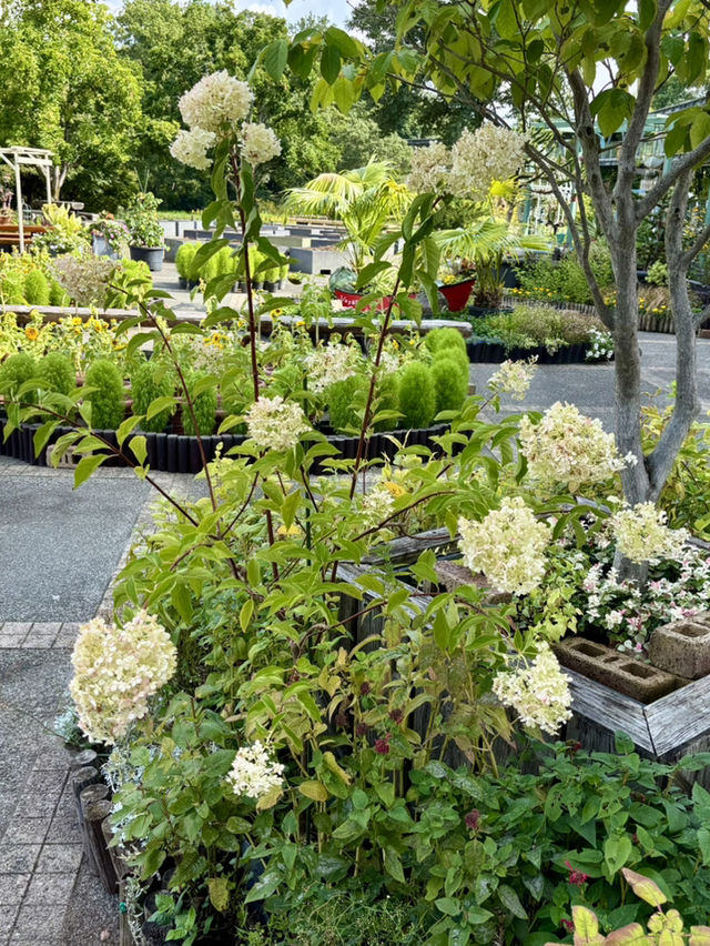 鳥取花迴廊🌸 大山腳下的夢幻花園