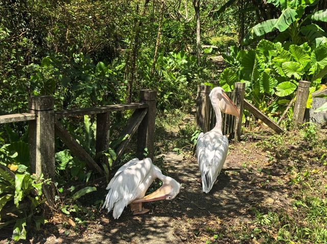 台北親子游必看動物園攻略✨台中市動物園