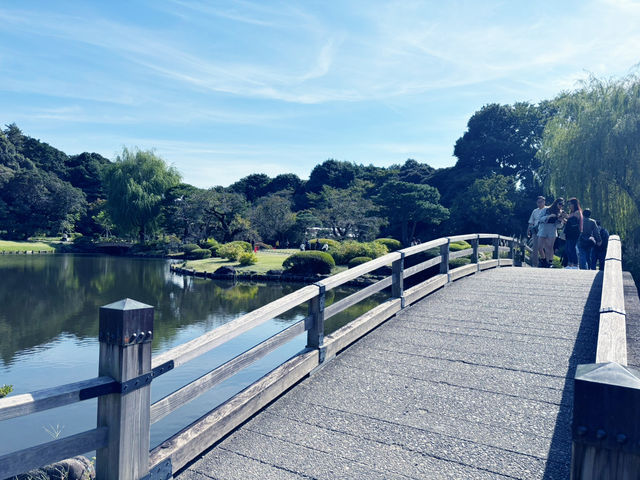 新宿御苑:我心目中的城市後花園 🌸🏙️ 新宿御苑:我心目中的城市後花園 🌸🏙️