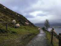 A Rewarding Hike up Catbells in the Lake District