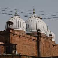 One day trip in New delhi - India 🇮🇳