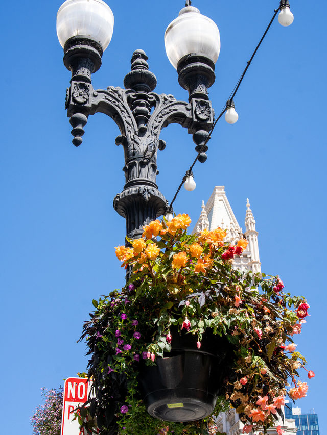 オークランド オークランド