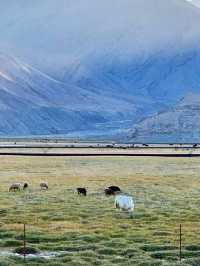 ✨ Southern Xinjiang – a symphony of mountains, grasslands, and endless skies ✨