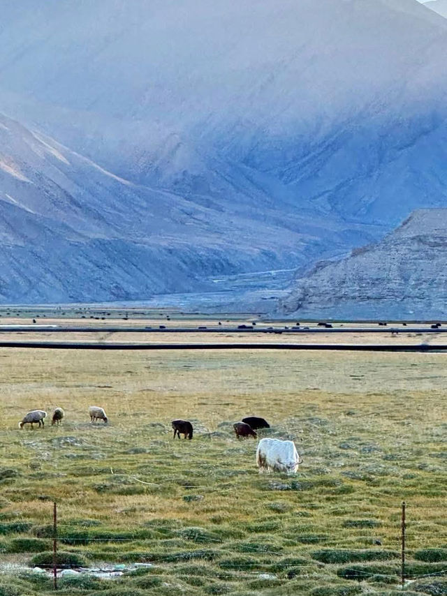 ✨ Southern Xinjiang – a symphony of mountains, grasslands, and endless skies ✨