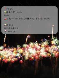 打ち上げ数日本一!?3万発の花火が見られる利根川大花火大会2025