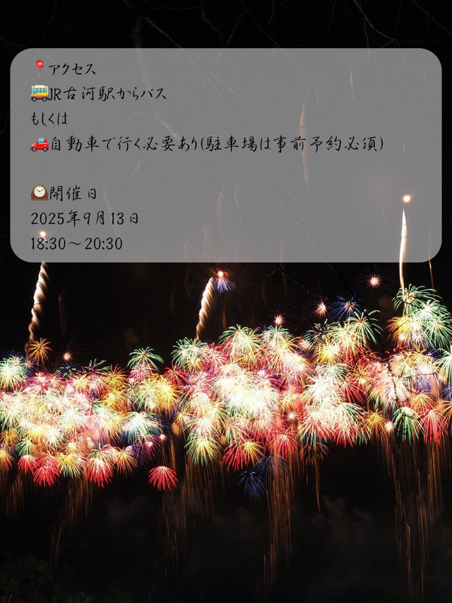 打ち上げ数日本一!?3万発の花火が見られる利根川大花火大会2025 打ち上げ数日本一!?3万発の花火が見られる利根川大花火大会2025