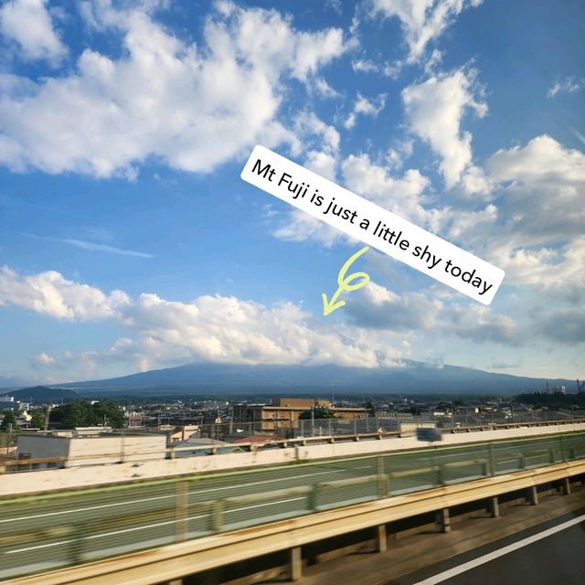 Epic Mt. Fuji Day Trip: Pirate Boats, Black Eggs & Swan Lake Vibes 🇯🇵🗻