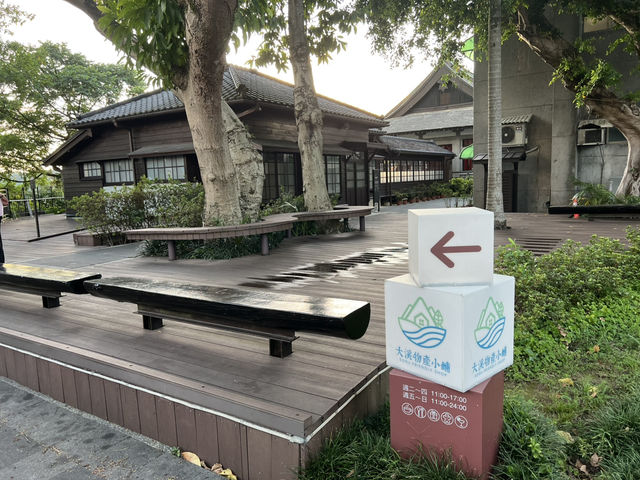 桃園大溪半日遊推薦 中正公園 大溪木藝生態博物館