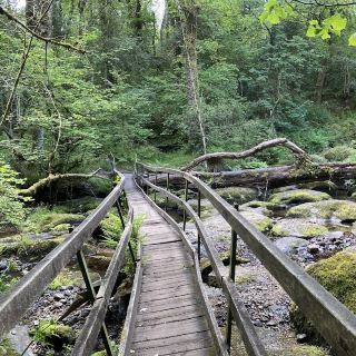 Becky Falls Ancient Woodland Park – Devon’s Cascading Oasis in the Heart of Dartmoor