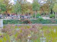 The Tuileries Garden: An Oasis in Central Paris