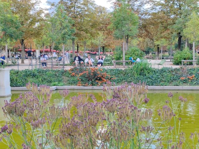 The Tuileries Garden: An Oasis in Central Paris