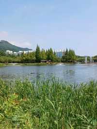 산책하기 좋은 연지공원