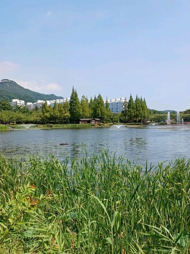 산책하기 좋은 연지공원