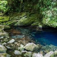 Kahurangi National Park – Epic Wilderness & Hidden Wonders of Te Wai Pounamu