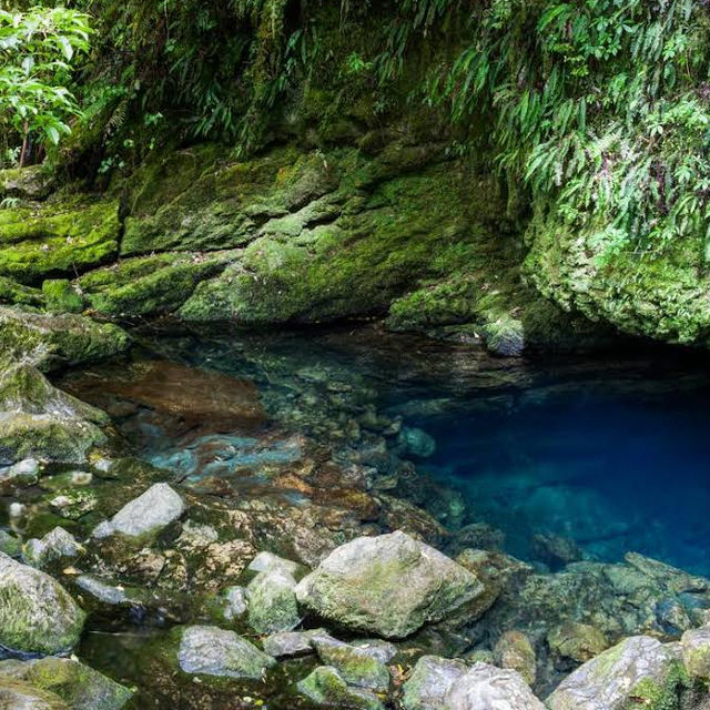 Kahurangi National Park – Epic Wilderness & Hidden Wonders of Te Wai Pounamu