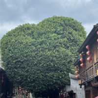 8 Days in Fuzhou