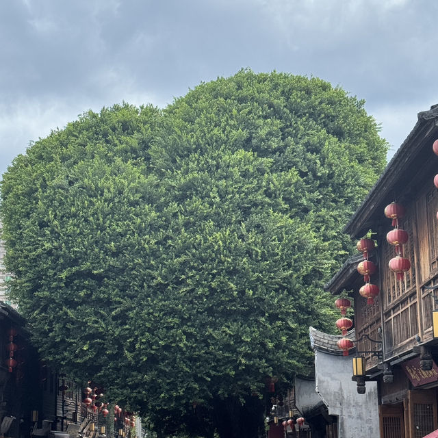 8 Days in Fuzhou