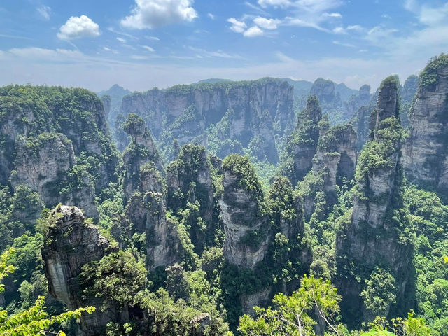 Pillars of Wonder: My Sky-High Escape to Yuanjiajie