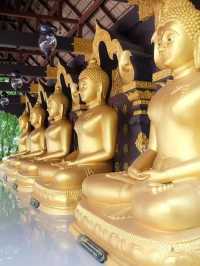 พระใหญ่ไดบุตซึ วัดพระธาตุดอยพระฌาน 🌲