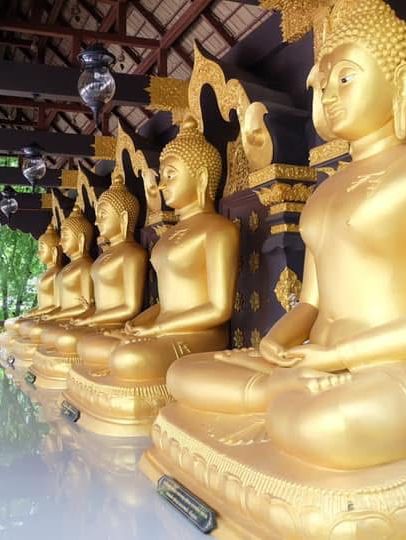พระใหญ่ไดบุตซึ วัดพระธาตุดอยพระฌาน 🌲