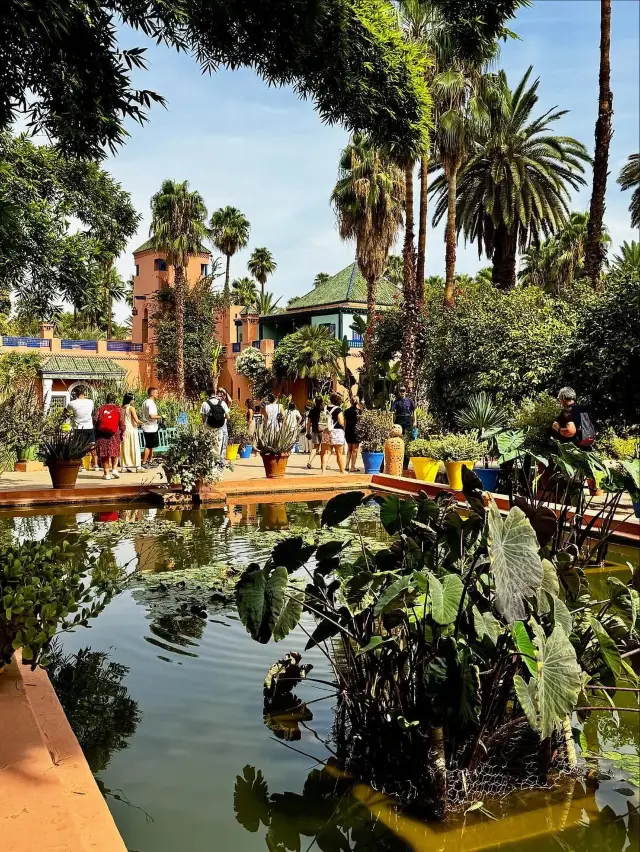 一個色彩繽紛的綠洲：馬拉喀什的馬約雷爾花園