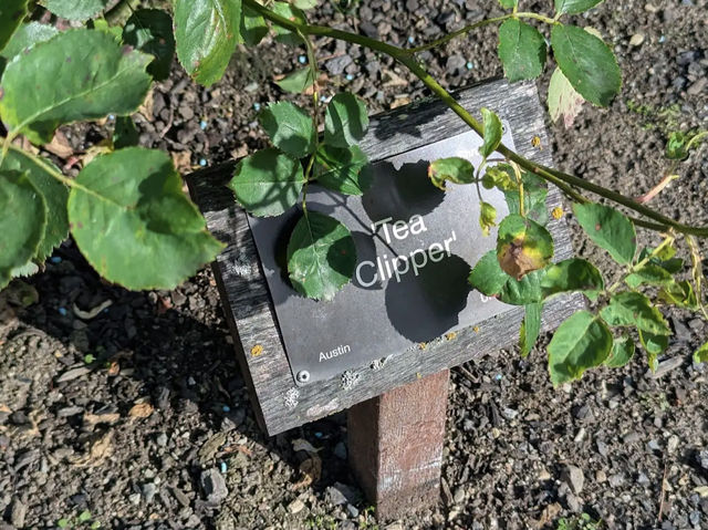 Dunedin Botanic Garden Dunedin Botanic Garden