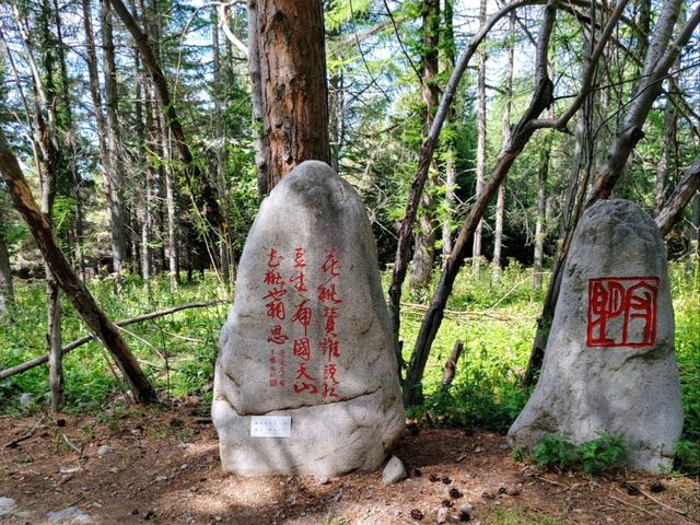 陸河九月治癒之旅 靚景chill爆