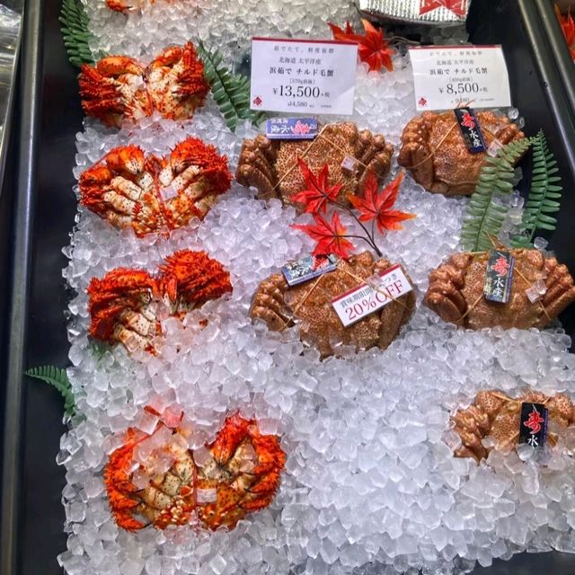 札幌二條市場：清晨的一碗爆盛海鮮丼元氣早餐