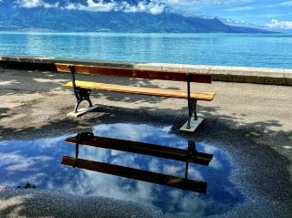 ชายฝั่งเวเวย์