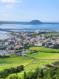 Sun-Kissed Adventures on Jeju Island! ☀️✨