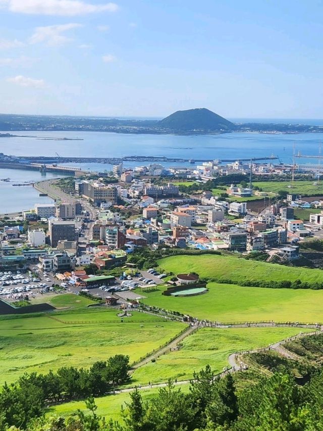 Sun-Kissed Adventures on Jeju Island! ☀️✨