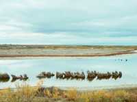 The Altay Highway: An Epic Road Trip Through Northern Xinjiang's Soul