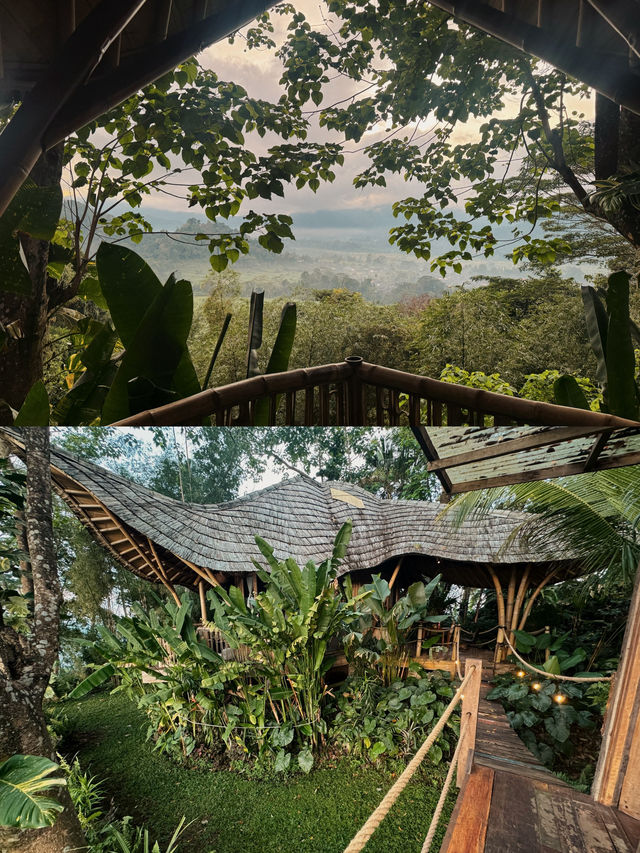 峇里島秘境竹屋住體驗🌿｜睡在原始森林看日出
