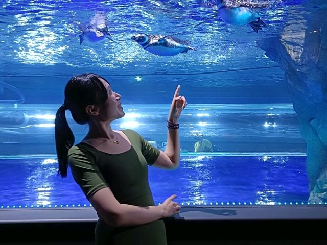 台中海洋館 台中海洋館