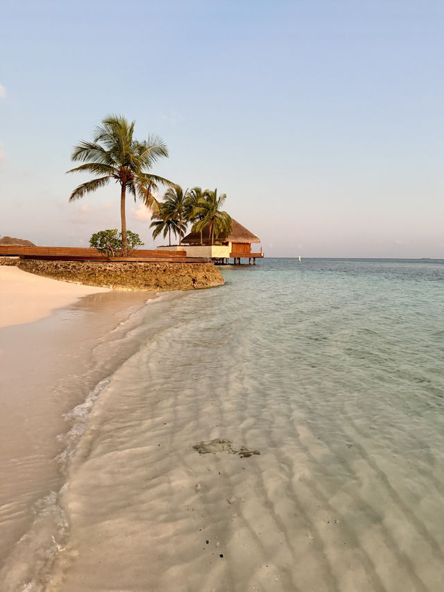 🌴 Honeymoon Bliss at W Maldives: Beach Villa Stay