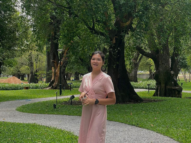 คาเฟ่ต้นไม้ใหญ่
